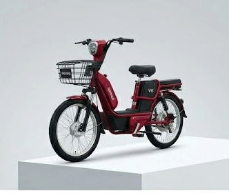 V9 Electric Scooter